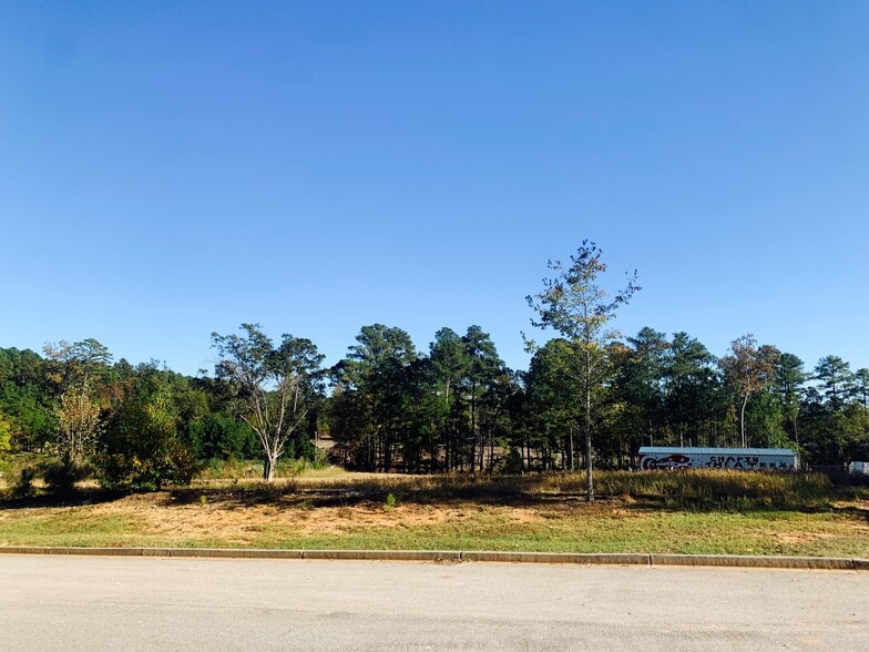 More Photos Of 111 Snapdragon, Chapin Land For Sale