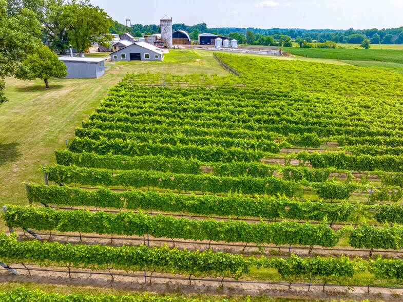 More Photos Of 27058 Mount Pleasant Rd, Columbus Winery Vineyard For Sale