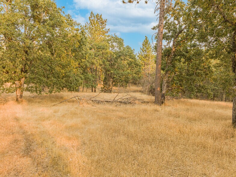 More Photos Of 323 Eric way, Grants Pass Land For Sale