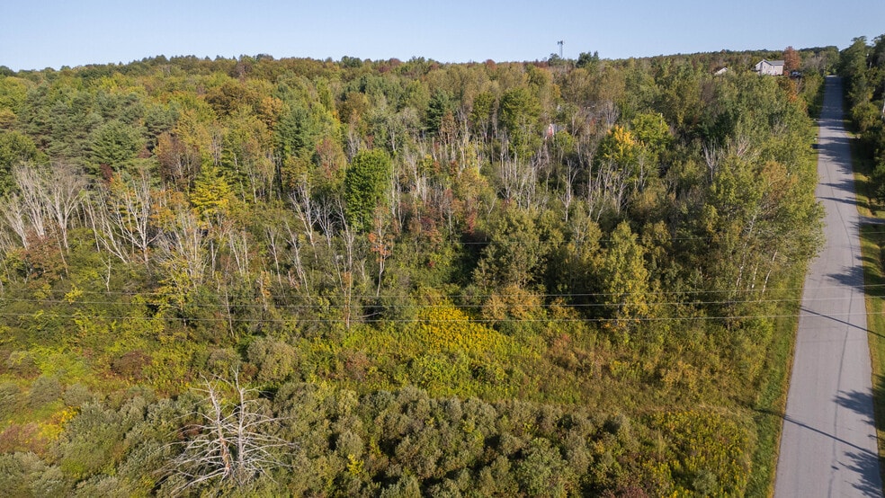 More Photos Of 219 Mudge rd, Delanson Land For Sale