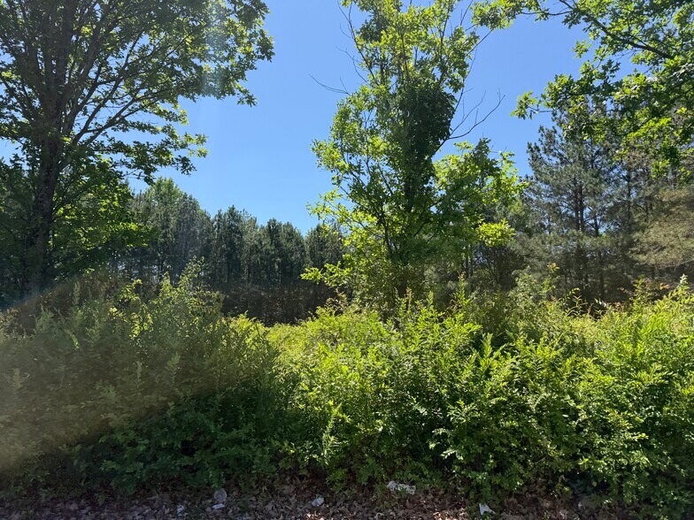 More Photos Of Flynn Crossing, Alpharetta Land For Sale