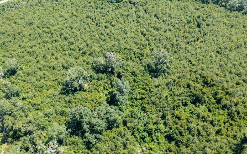 More Photos Of Crossen Avenue & Ichetucknee Rd, Live Oak Land For Sale