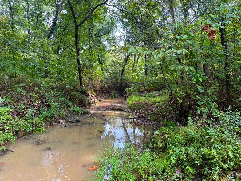 More Photos Of 17660 Golden Rd, Linwood Land For Sale