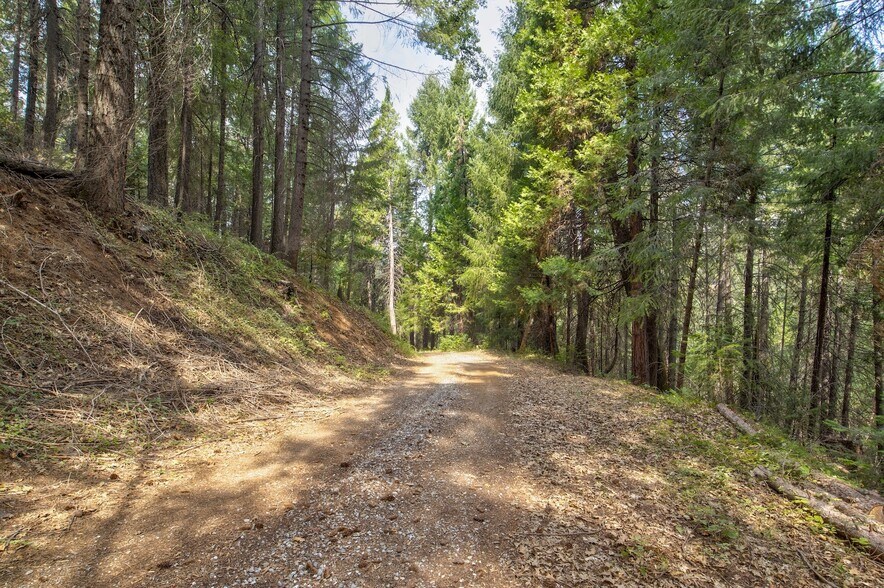 More Photos Of Mountain Dew Lane, Somerset Land For Sale