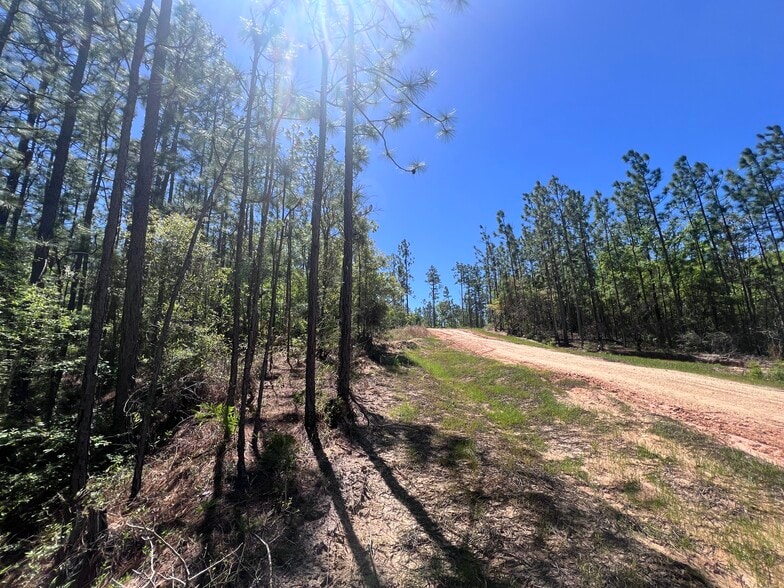 More Photos Of 2610 Highway 4, Jay Land For Sale