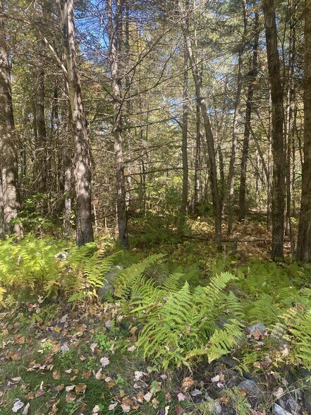 More Photos Of 126 State St, Palmer Land For Sale