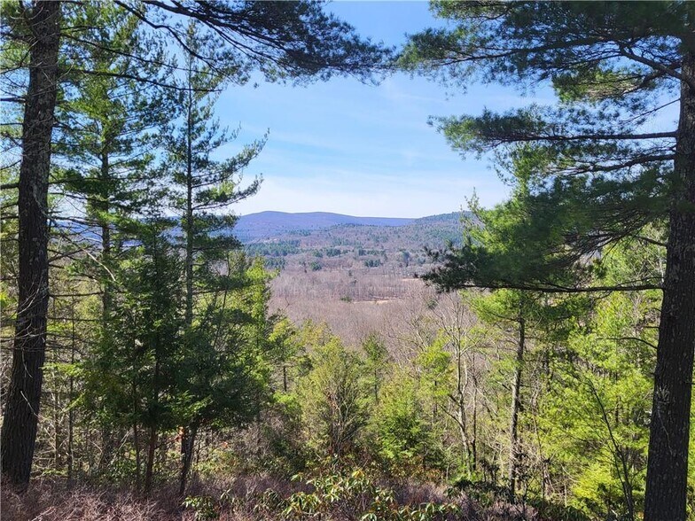 More Photos Of 8 Henry Rd, Cragsmoor Land For Sale