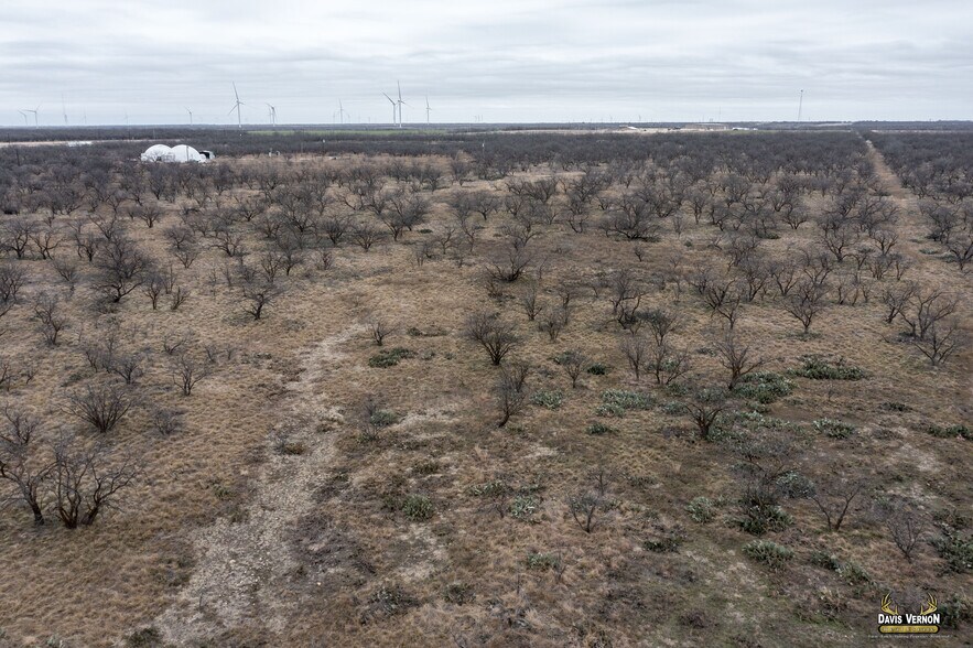 More Photos Of 10737 Interstate 20 W, Clyde Land For Sale