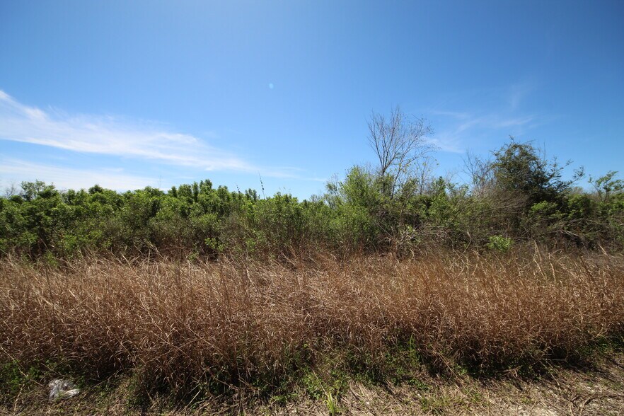 More Photos Of Hwy 288 hwy, Rosharon Land For Sale