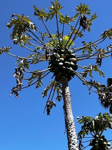 More Photos Of 5633 La Mirada Ave, Los Angeles Apartments For Sale