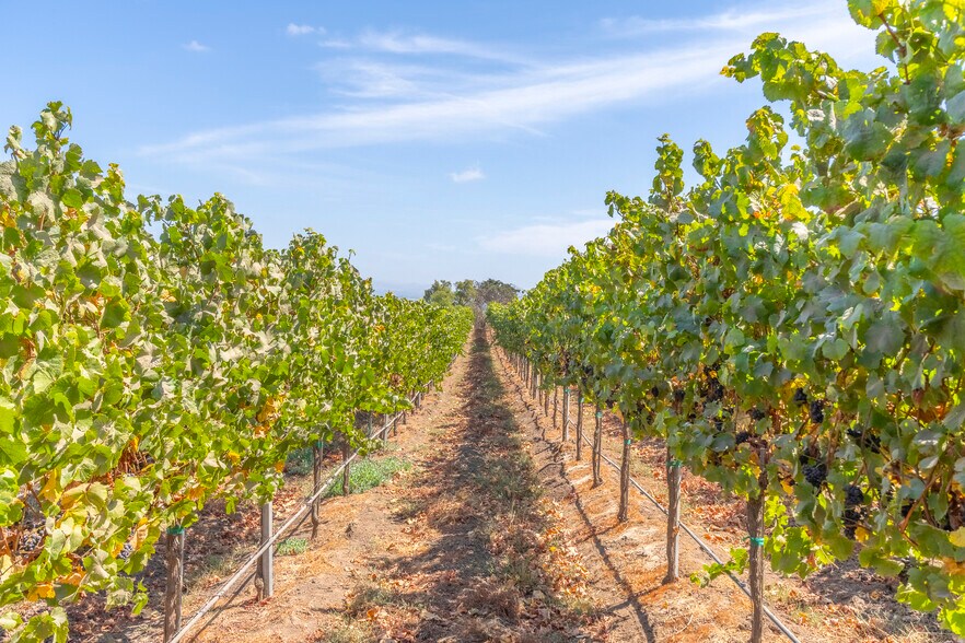 More Photos Of 1504 River Rd, Salinas Land For Sale