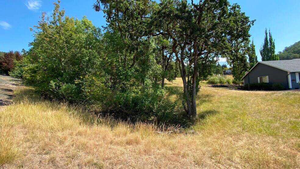 More Photos Of 1219 Junker, Roseburg Land For Sale