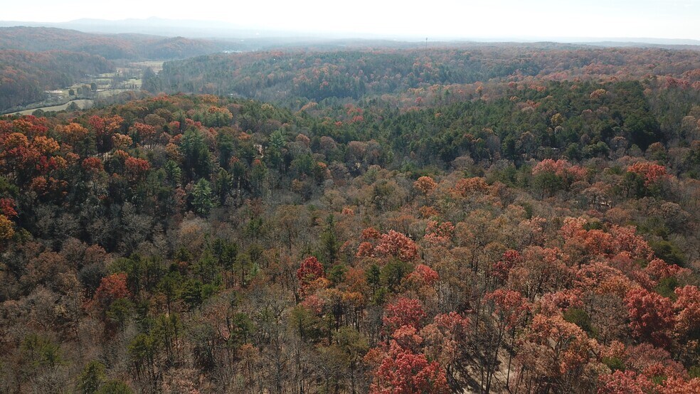 More Photos Of 536 Vayhaus Trl, Ellijay Specialty For Sale
