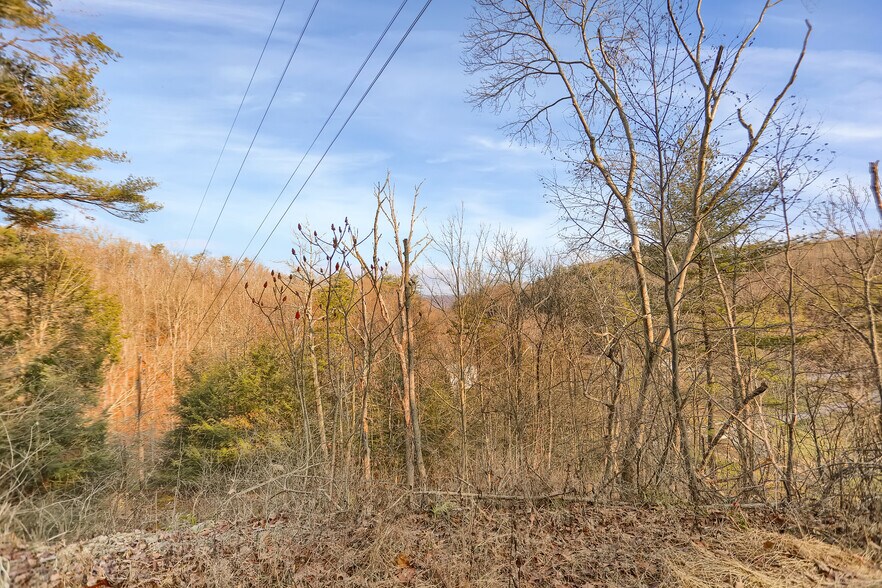 More Photos Of 703 Dauva Luch Rd, Herndon Land For Sale