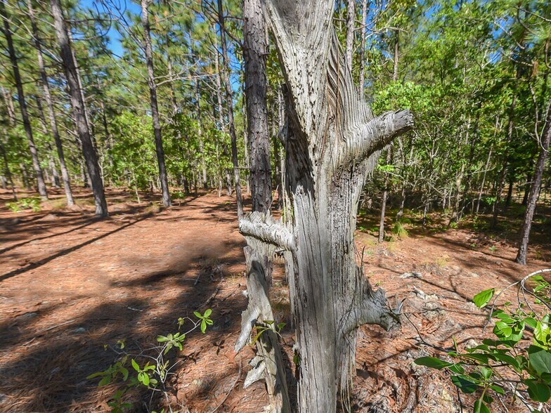 More Photos Of 224 Foxfire Rd, Aberdeen Land For Sale