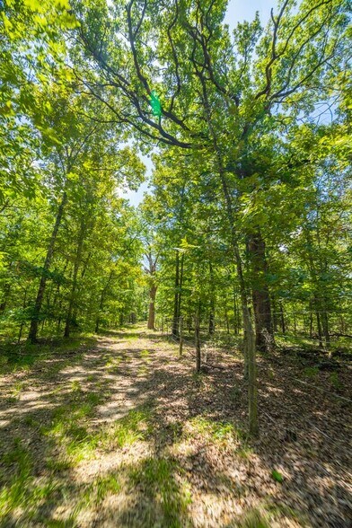 More Photos Of FM 1536 @ CR 3573, Dike Land For Sale