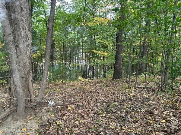 More Photos Of 160 Brookline St, Worcester Land For Sale