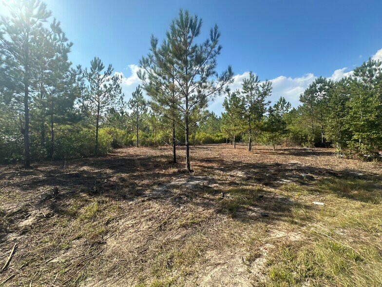 More Photos Of John Hill Blvd & US 49, Gulfport Land For Sale