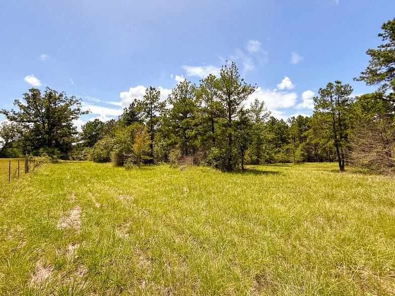 More Photos Of 1682 FM 980 Rd, Huntsville Land For Sale