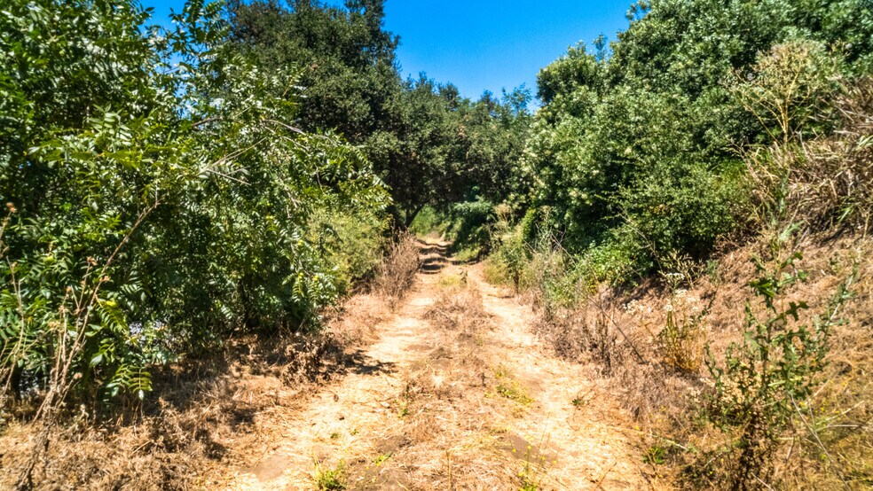 More Photos Of 7099 E. Carbon Canyon Rd, Brea Land For Sale