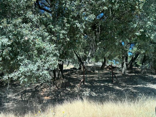 More Photos Of 20045 Jesus Maria Rd, Mokelumne Hill Land For Sale