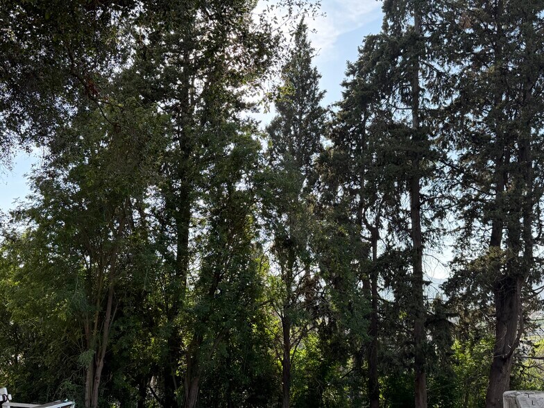 More Photos Of 265 Encino, Oak View Land For Sale