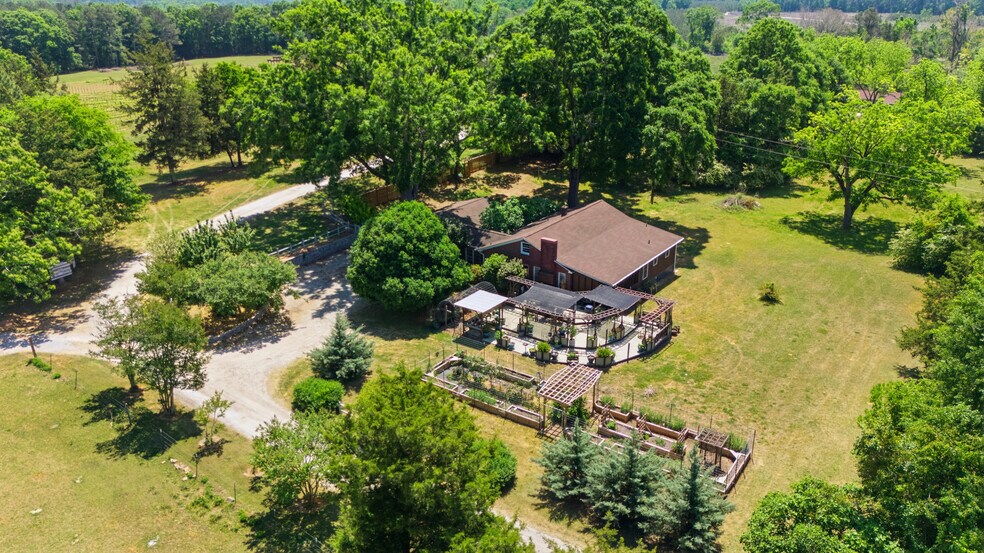 More Photos Of 1650 Dusty Rd, Newberry Winery Vineyard For Sale