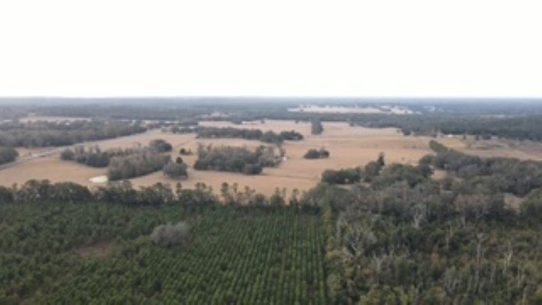 More Photos Of 10602 NW 143rd St, Alachua Land For Sale