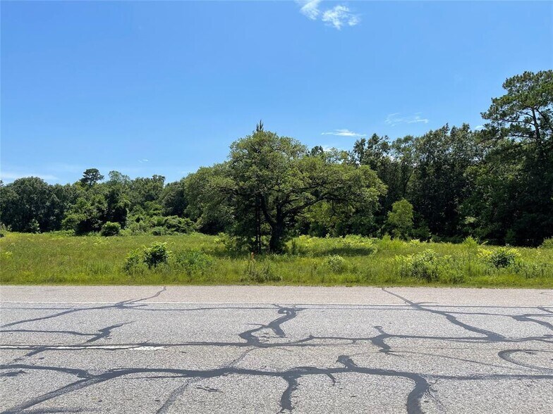 Primary Photo Of 23100 FM 1314, Porter Land For Sale