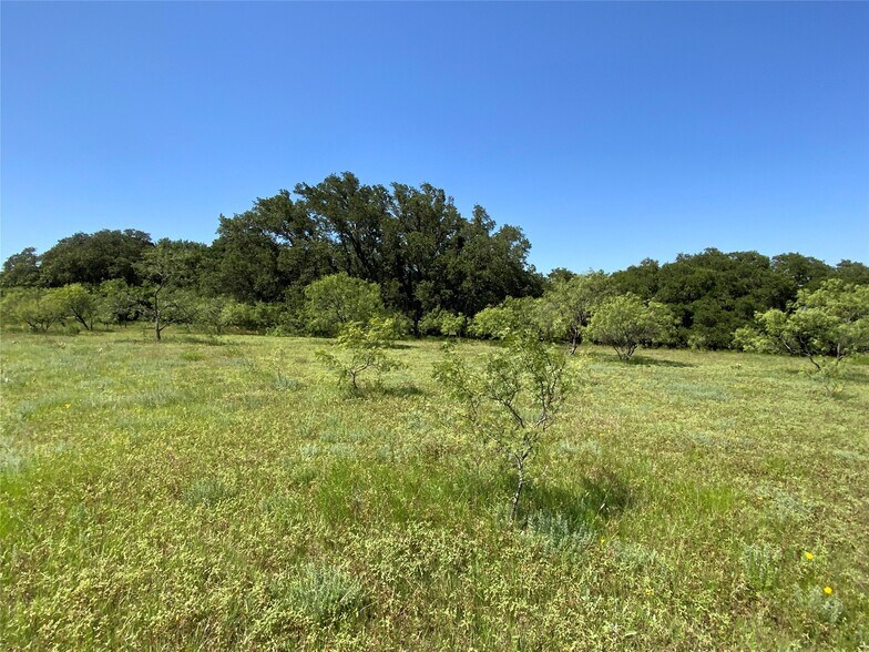 More Photos Of 4801 Farm to Market Road 1702, Gustine Land For Sale