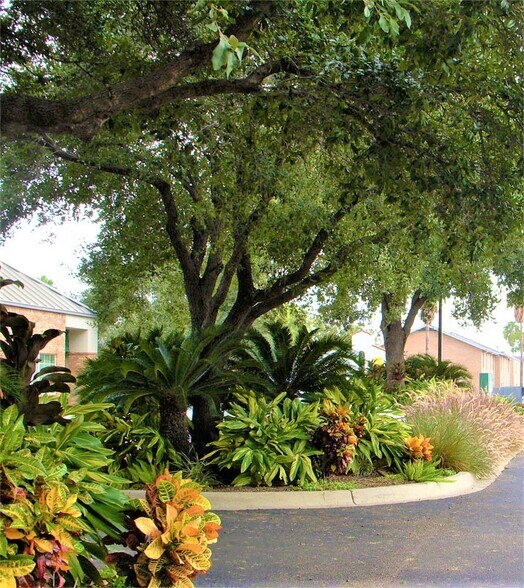 More Photos Of 1109 Nolana Ave, McAllen Office For Sale