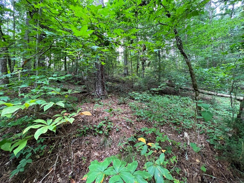More Photos Of Pinyan, Ranger Land For Sale