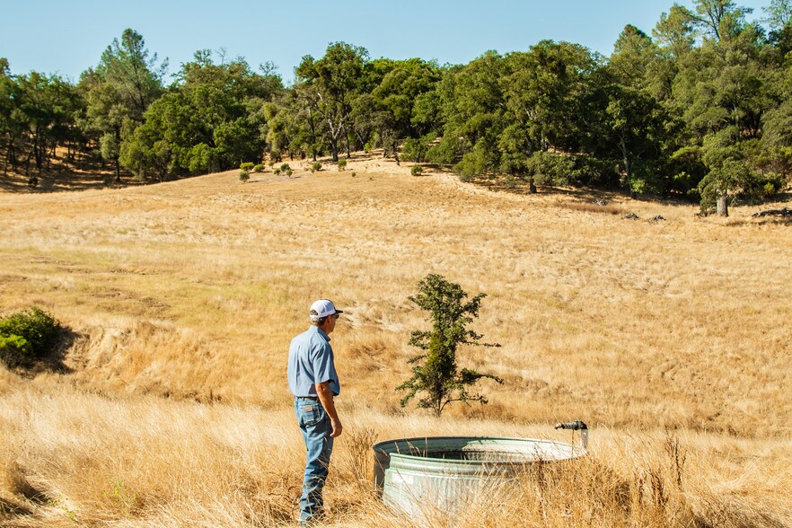 More Photos Of 4471 Buena Vista Rd, Ione Land For Sale