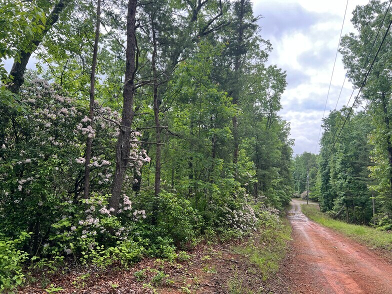 More Photos Of 395 Able rd, Waleska Land For Sale