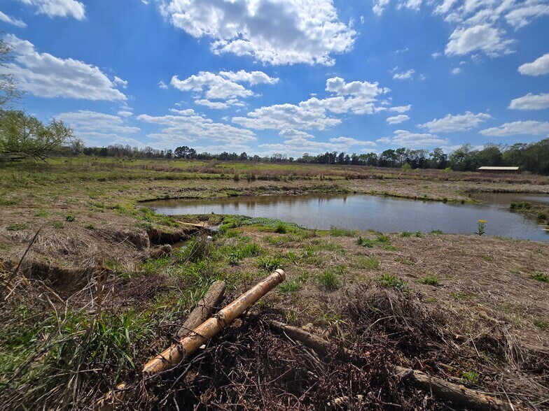 More Photos Of 11888 County Road 345, Winona Land For Sale