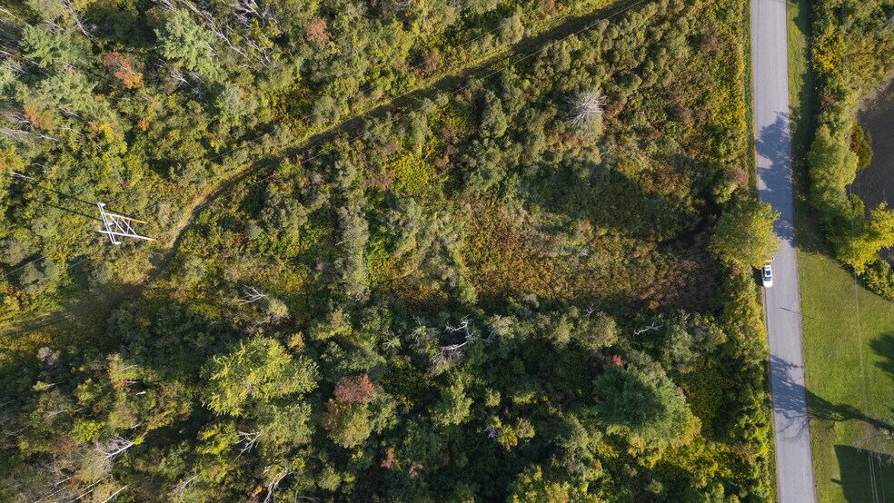 More Photos Of 219 Mudge rd, Delanson Land For Sale