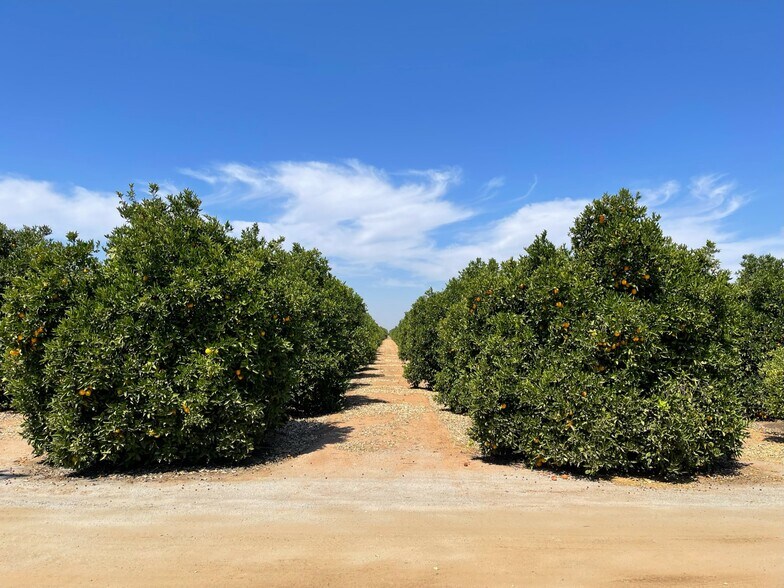 Orange Cove area, Orange Cove, CA 93646 Land For Sale