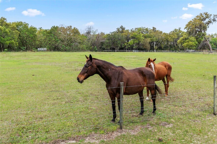 More Photos Of 37800 Illinois St, Lady Lake Land For Sale