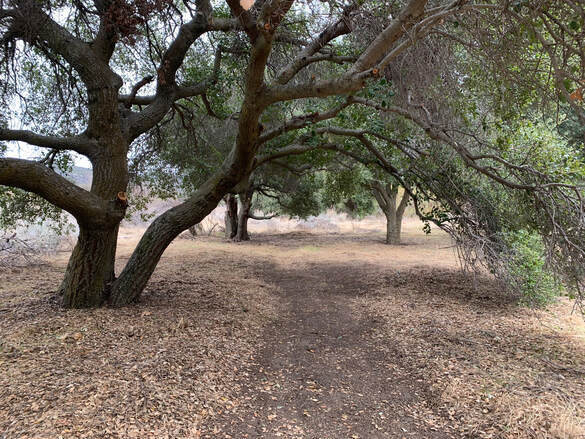 More Photos Of 30415 Chihuahua Valley Rd, Warner Springs Land For Sale