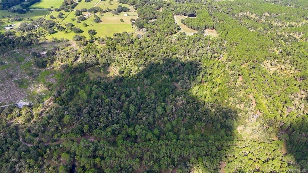 More Photos Of 20271 81st Terrace, Inglis Land For Sale