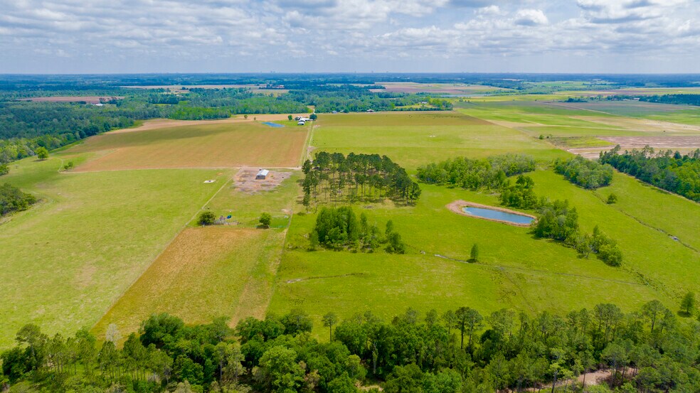 More Photos Of 24795 Hwy 32, Elberta Land For Sale