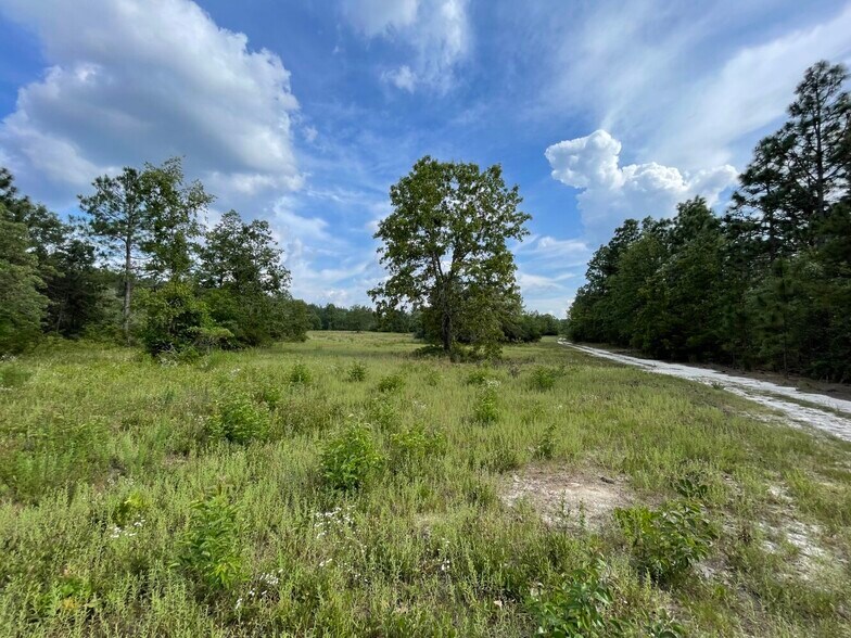 More Photos Of 229 Colbert Bridge Road, Windsor Land For Sale