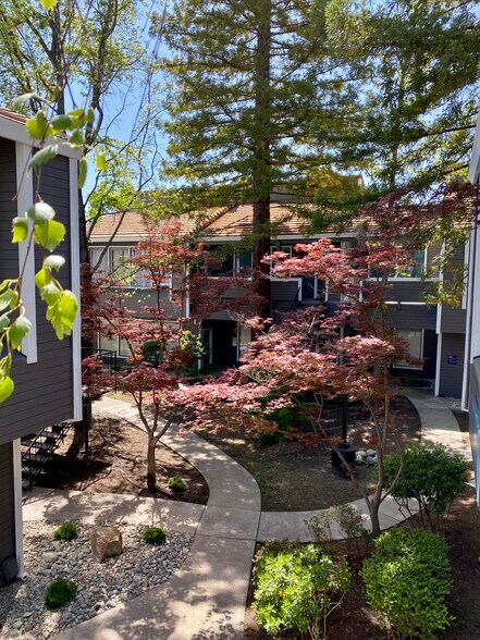 More Photos Of 720 Sunrise Ave, Roseville Office For Sale