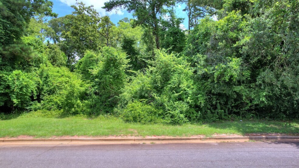 More Photos Of 1 Grand Island Dr, Albany Land For Sale