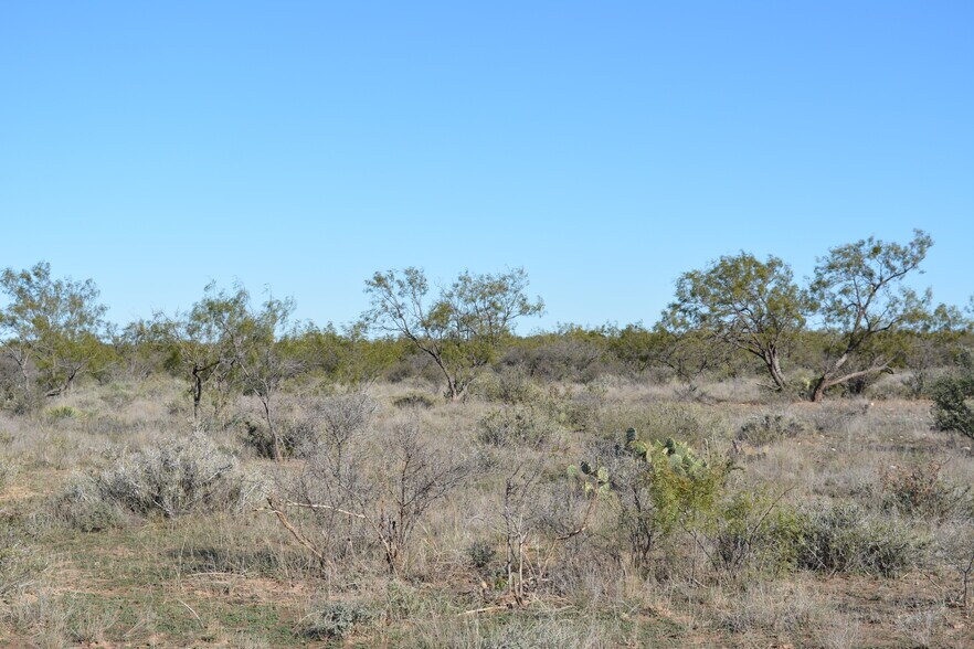 More Photos Of CR 1329, Paint Rock Land For Sale