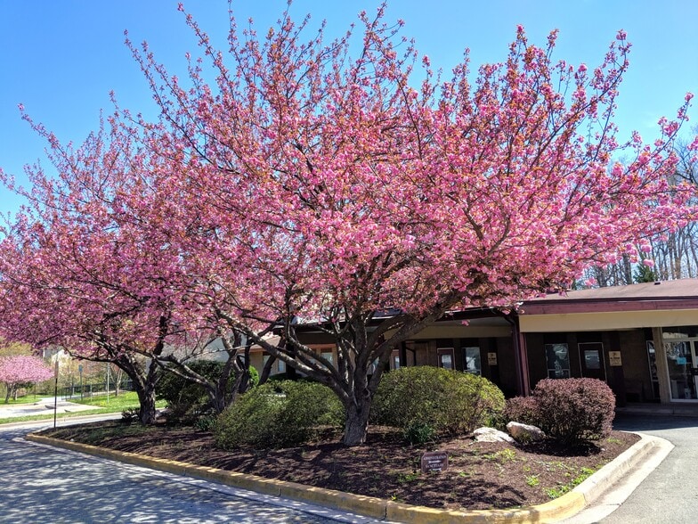 More Photos Of 9915 Apple Ridge Rd, Gaithersburg Religious Facility For Sale