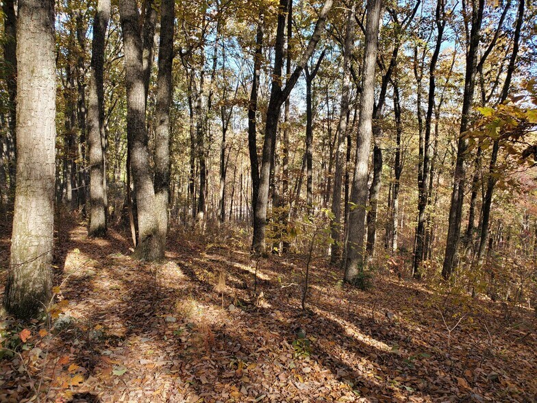 More Photos Of 1000 Block Of US-Hwy 64, Ocoee Land For Sale