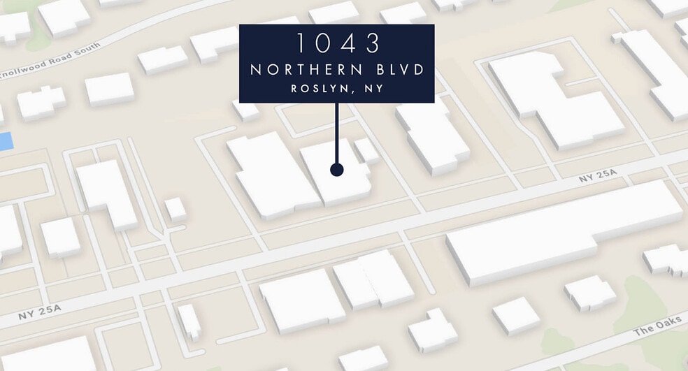 More Photos Of 1043 Northern Blvd, Roslyn Restaurant For Sale