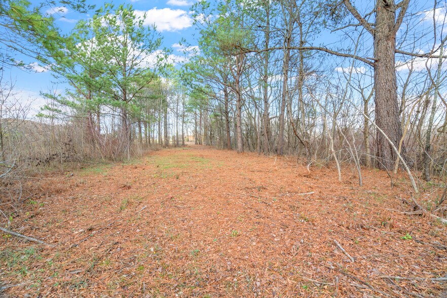 More Photos Of 0 Old Athens Pike, Sweetwater Land For Sale
