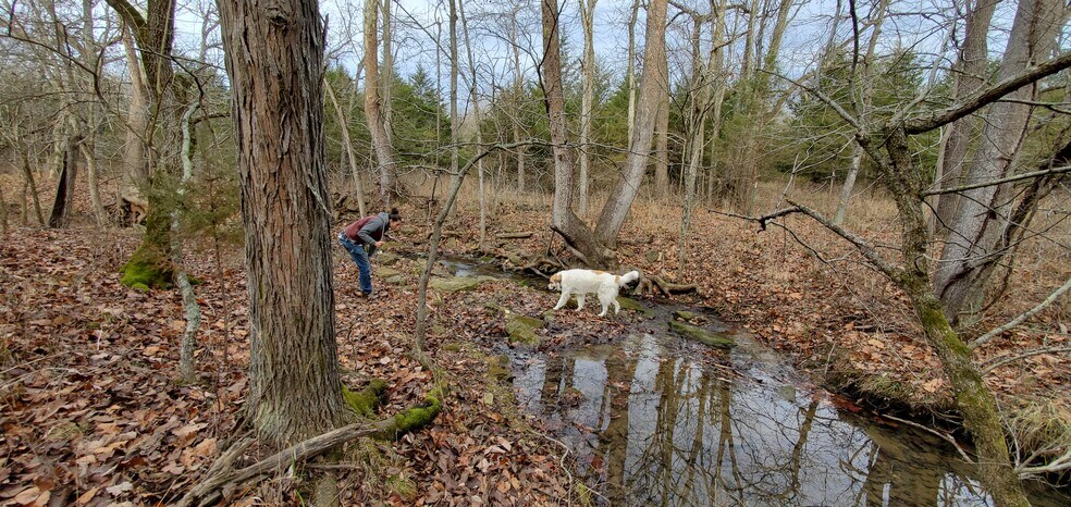 More Photos Of 4775 S 50th St, Aldrich Land For Sale